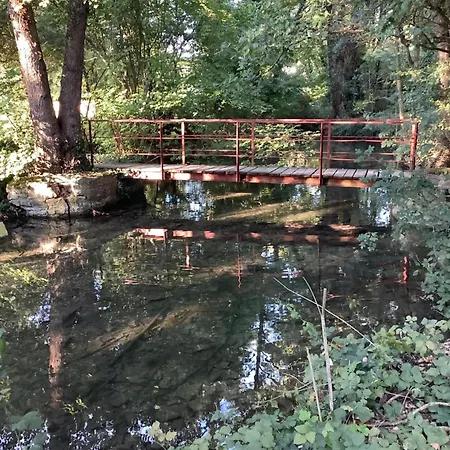 Bed & Breakfast Les Jonquilles